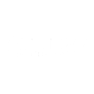 Satellite 2025